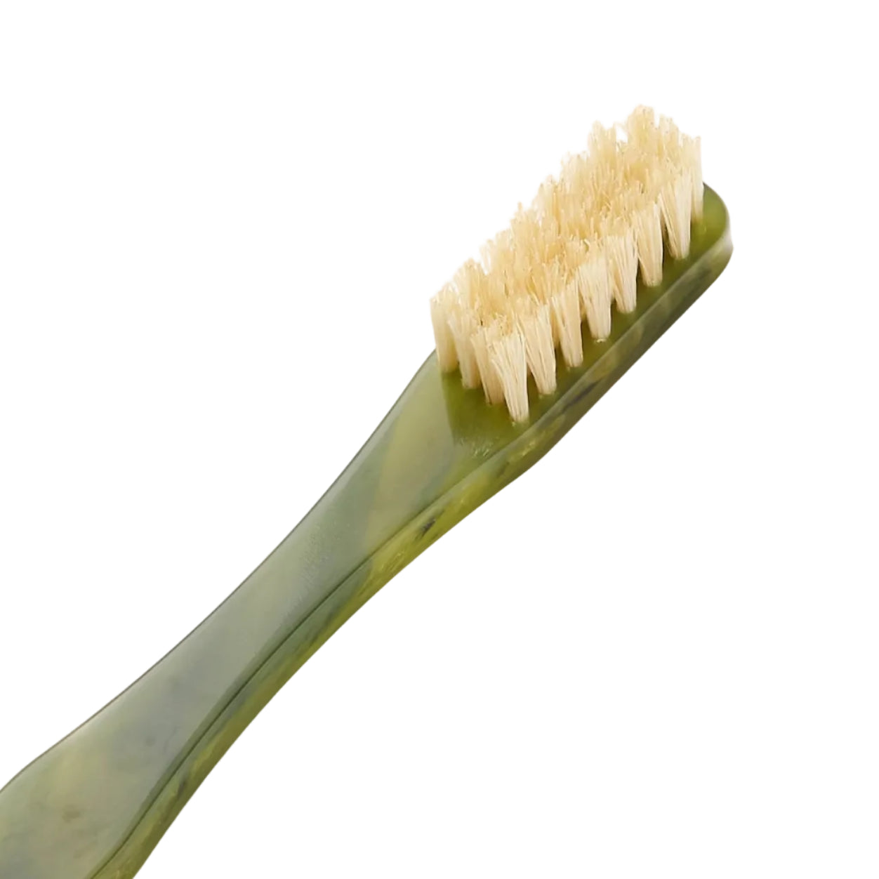 Toothbrush in Algae