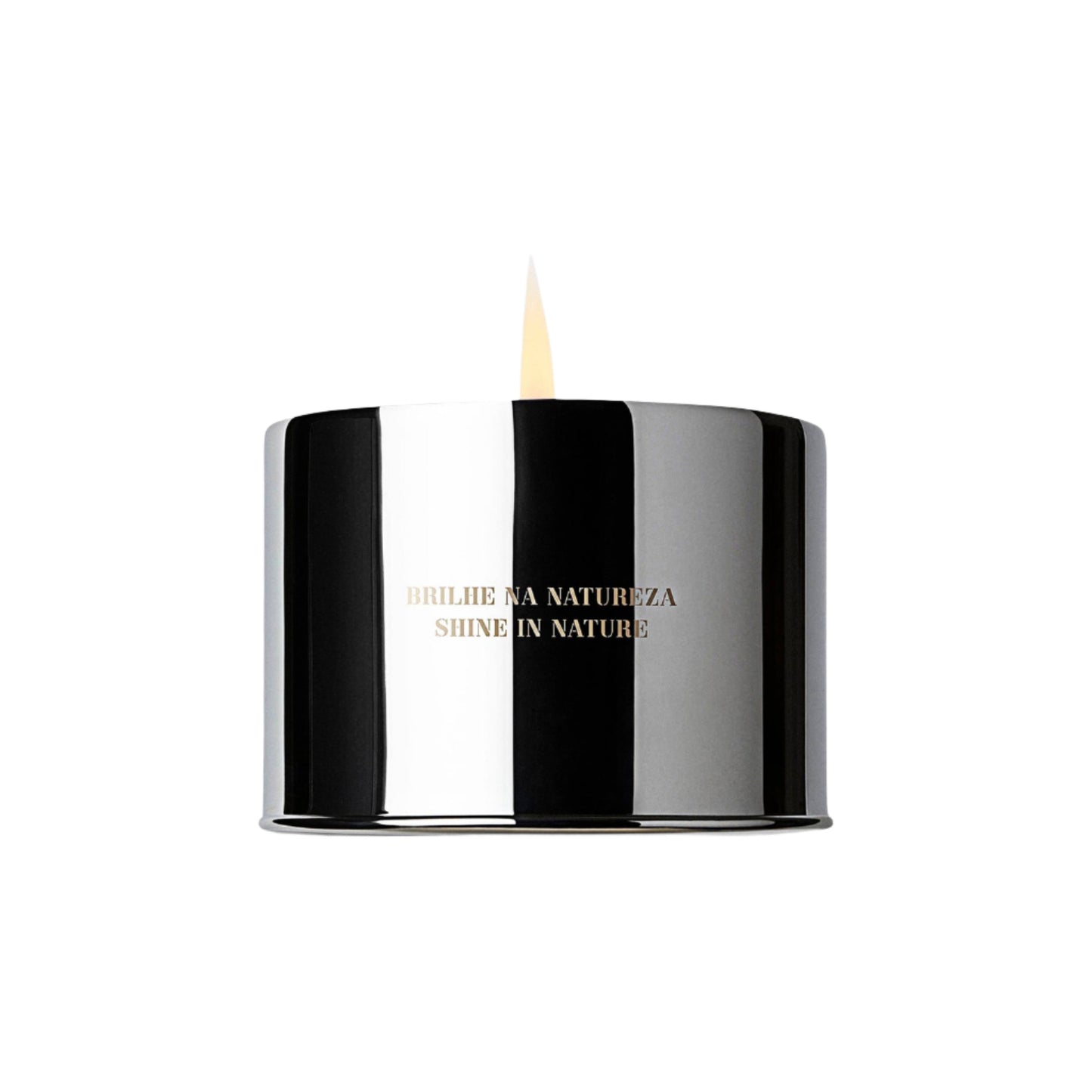 Vela | Jungle Candle