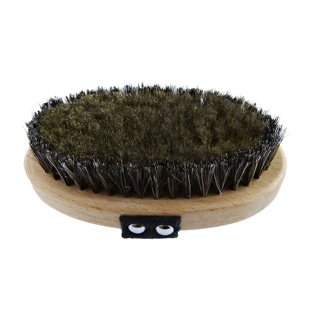 Ionic Body Brush