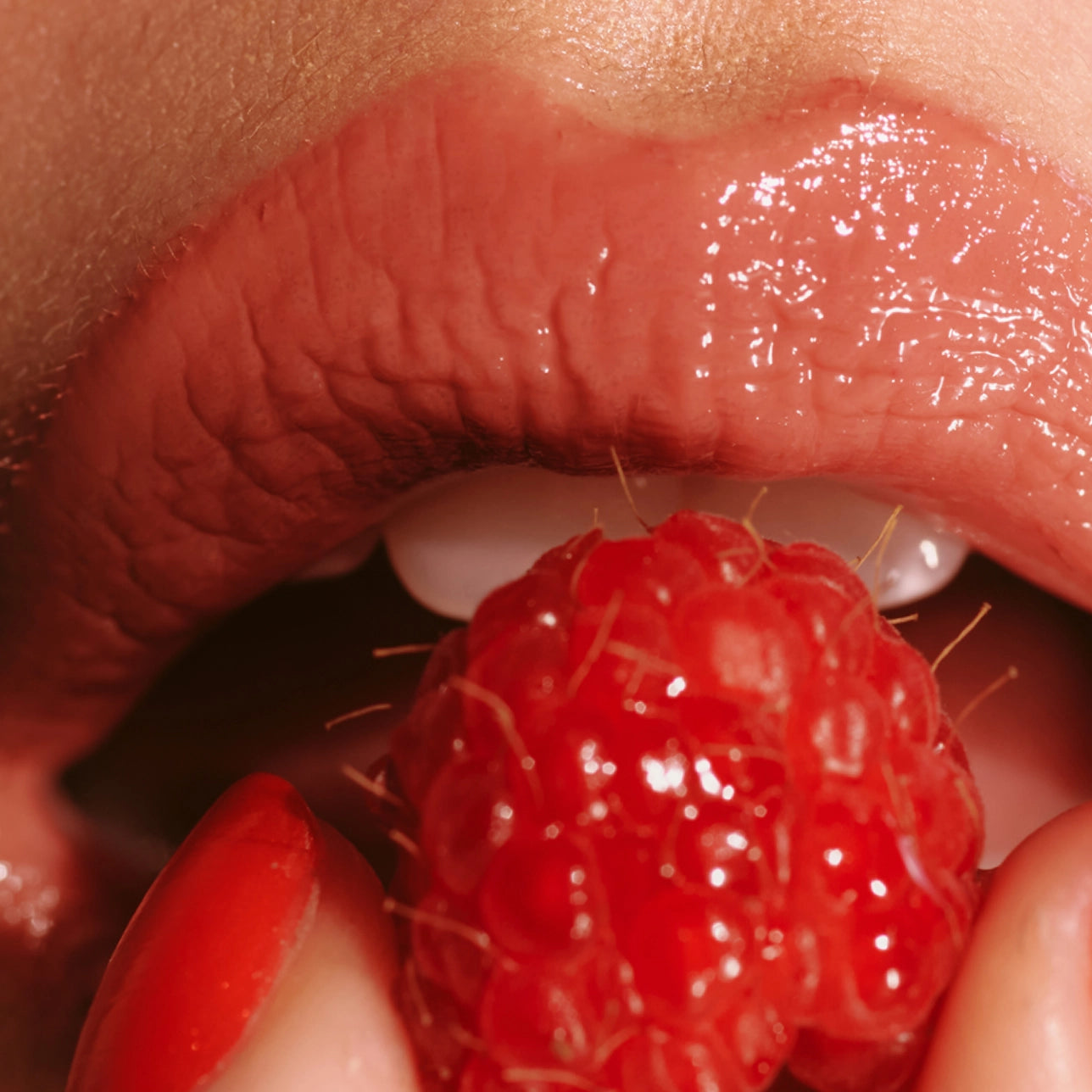Daily Lip Sun Gloss SPF 30 - Ripe Berry