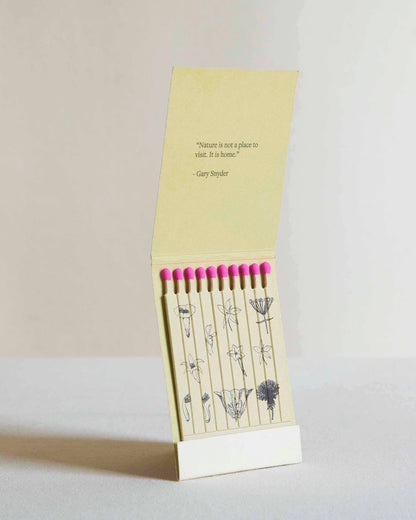 Wild Pink (Silene Caroliniana) Botanical Matches