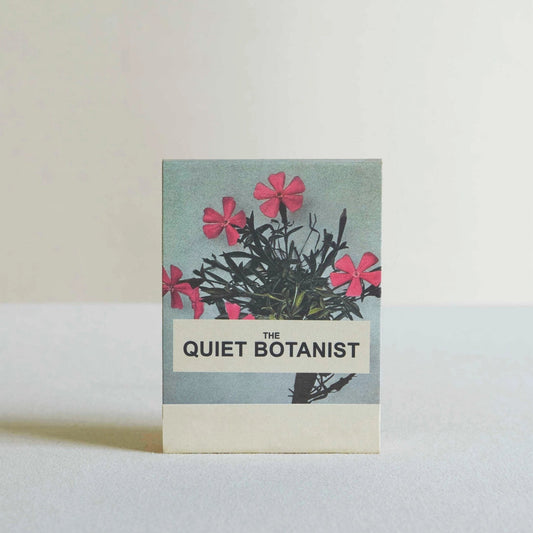 Wild Pink (Silene Caroliniana) Botanical Matches